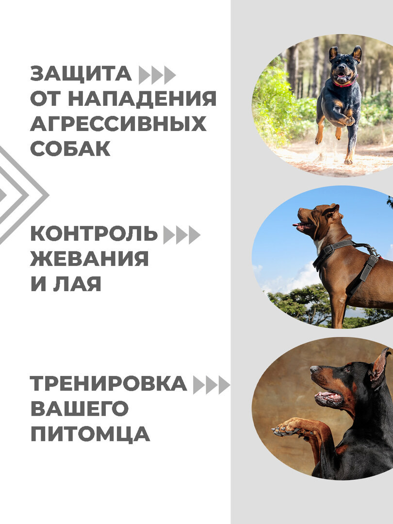 Отпугиватель собак ультразвуковой Boomshakalaka с фонариком, c функцией дрессировки, для защиты от животных