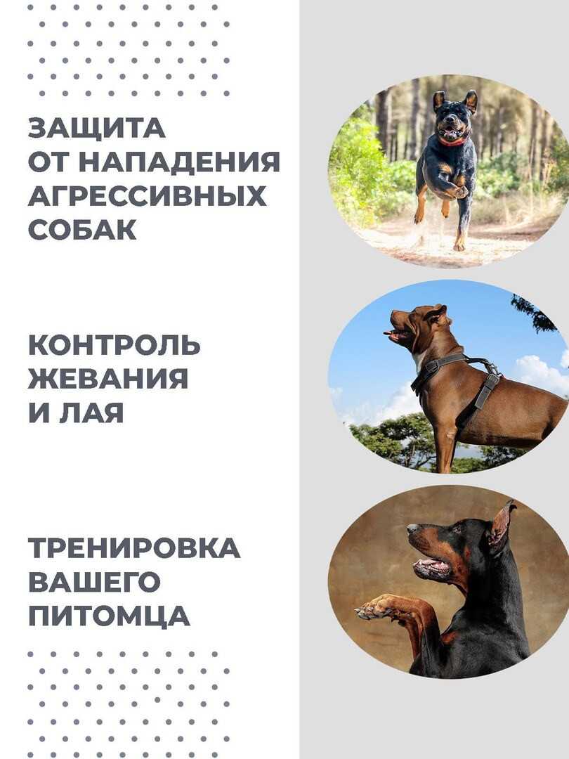 Отпугиватель собак ультразвуковой с фонариком, c функцией дрессировки, для защиты от животных